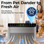 EVALIT ET066 Air Purifier For Home Large Room,Grey