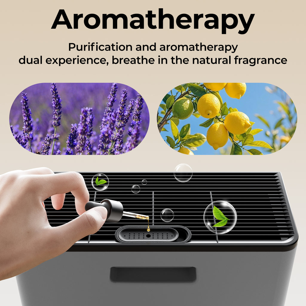 EVALIT ET066 Air Purifier For Home Large Room,Grey