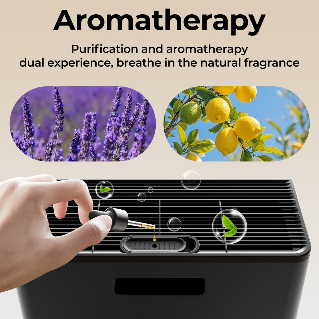 EVALIT ET066 Air Purifier For Home Large Room,Black